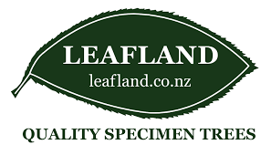 leaflands